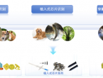 又一国内头部企业落户肥西！