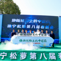 休宁松萝春茶上市