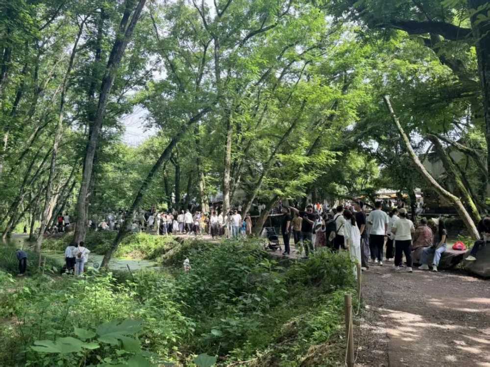西溪南镇“五一”游客超20万人次