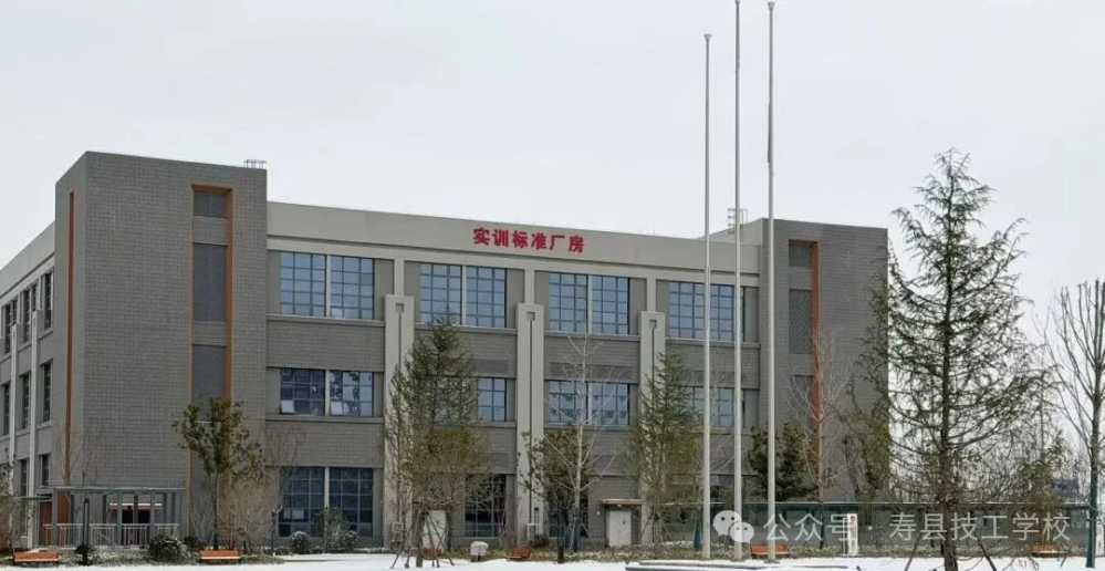 mmexport1783771999100.jpg