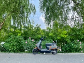 小牛Y芝士One电自京东促，到手2499元_电动车市场{bbname}bbs.ahv.cc