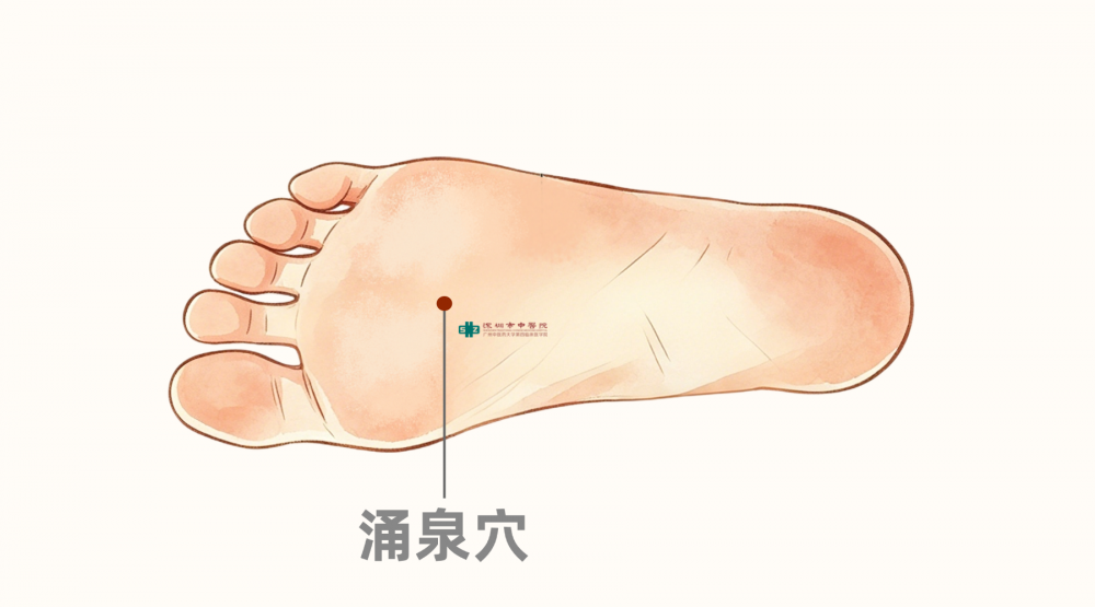 常练“脚部八段锦”，守好第二心脏{bbname}bbs.ahv.cc