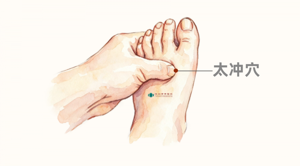 常练“脚部八段锦”，守好第二心脏{bbname}bbs.ahv.cc