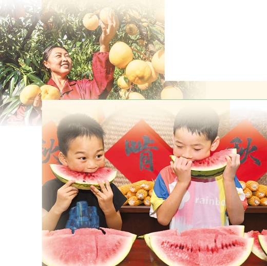 水果怎么吃，才能更健康？（“果”然不简单④）{bbname}bbs.ahv.cc