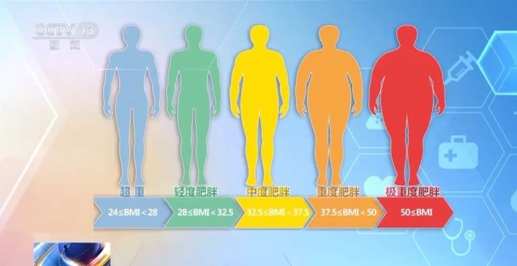 不吃晚饭能减肥？运动30分钟才能减脂？一文说清{bbname}bbs.ahv.cc