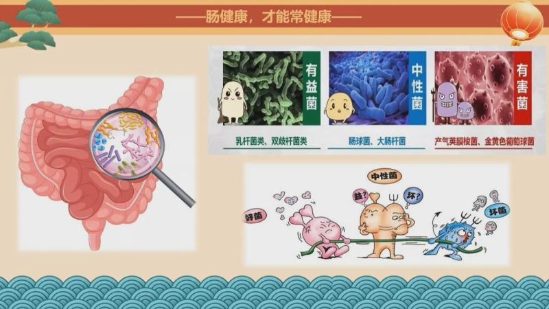 新春好“食”光 科学公开课：春节“肠”安心，健康“菌”相伴（安宇）{bbname}bbs.ahv.cc ...