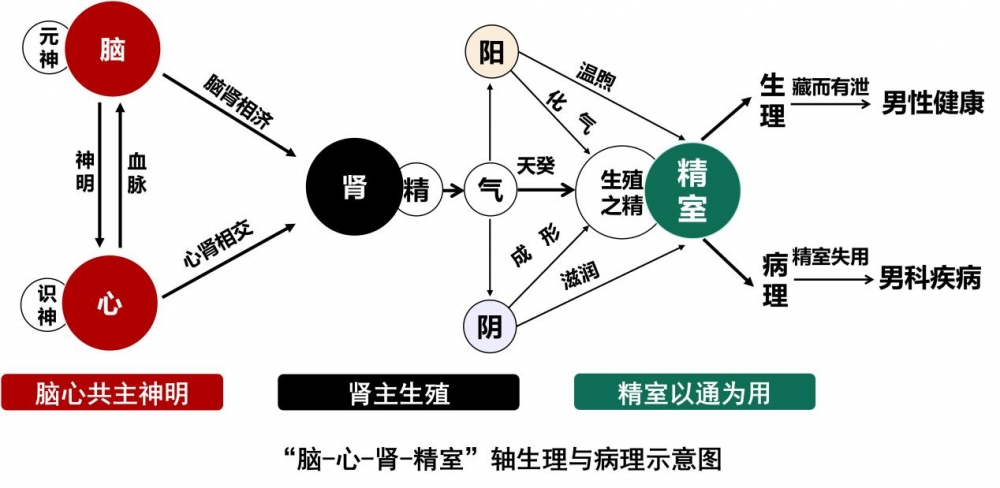 专访中国中医科学院西苑医院男科主任郭军{bbname}bbs.ahv.cc