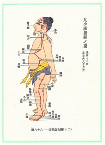 五脏六腑全套保养，别错过【二】{bbname}bbs.ahv.cc