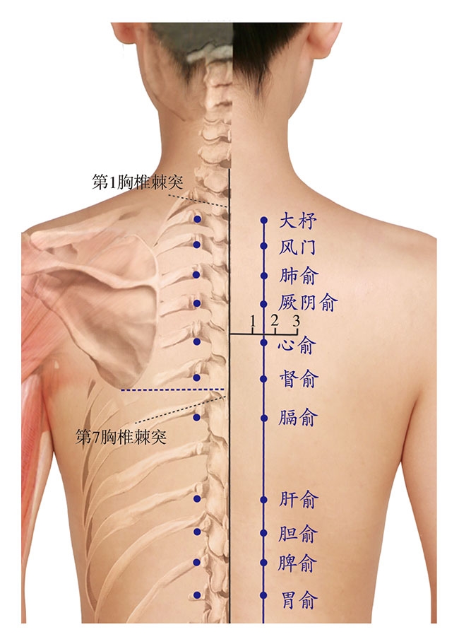 腾讯医典{bbname}bbs.ahv.cc