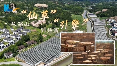 素淡藏清润 从容养阴津{bbname}bbs.ahv.cc