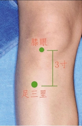 春天长个，这些穴位常给孩子按按{bbname}bbs.ahv.cc