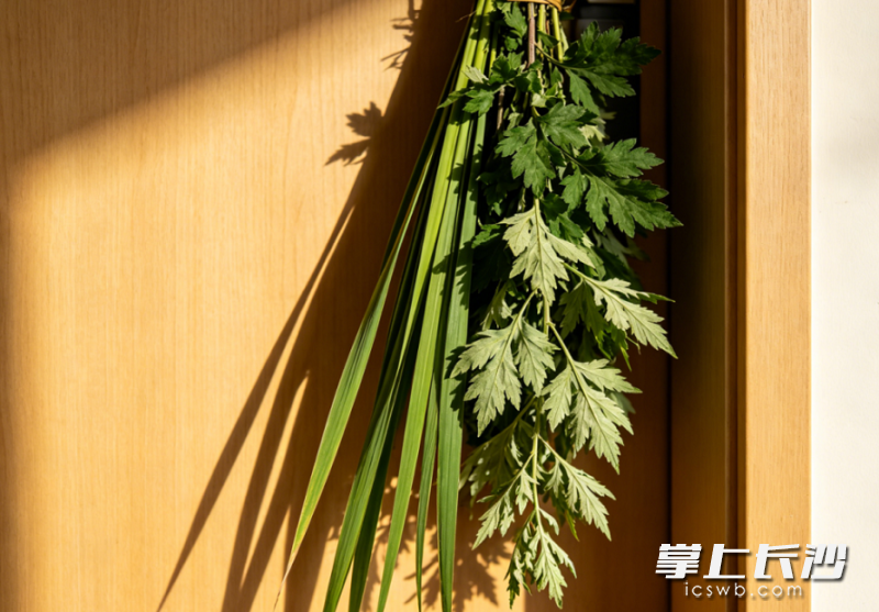 端午为何挂艾草、佩香囊、吃粽子？古今同理“防湿、防疫”{bbname}bbs.ahv.cc