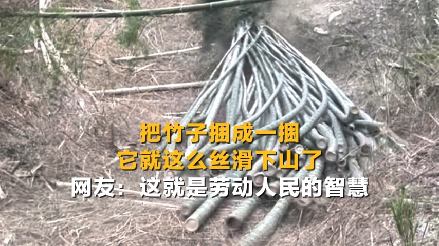 俄罗斯男童意外走失 三亚警民合力助母子团聚{bbname}bbs.ahv.cc