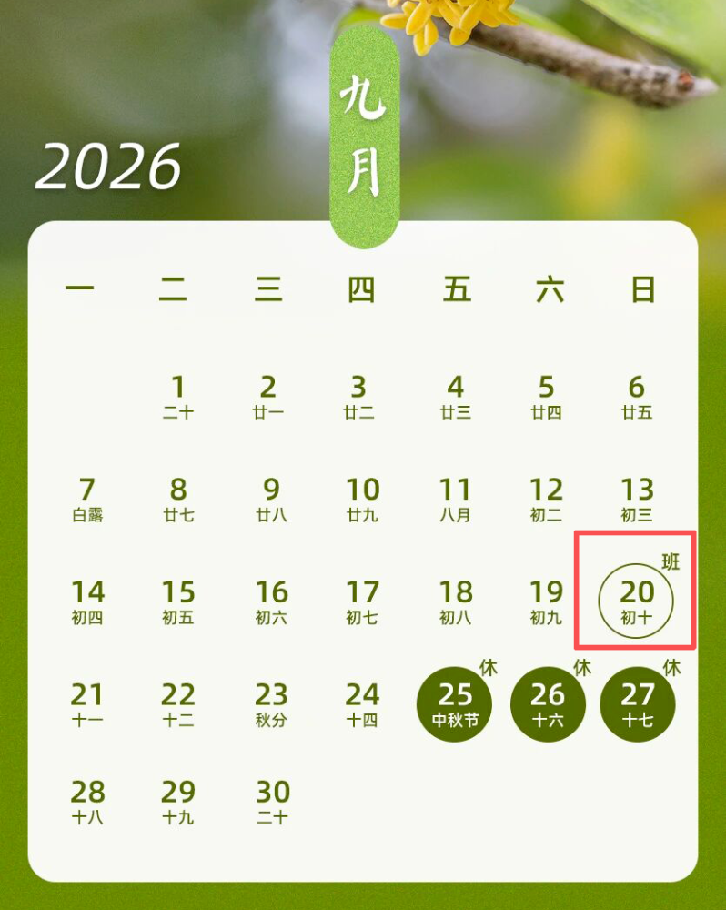 mmexport47431320f81a6ce9a7b7213daa71c2bf_1789287963006.png