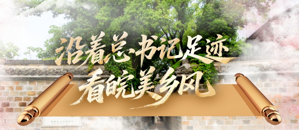 安徽桐城：在“行走的课堂”中触摸文脉{bbname}bbs.ahv.cc