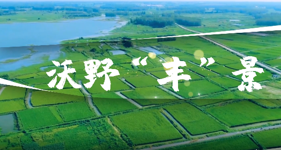 长丰县_新华网安徽频道{bbname}bbs.ahv.cc