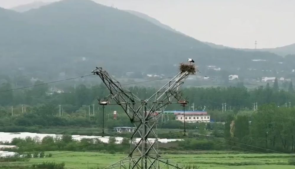 包公故里 紫气东来_新华网安徽频道{bbname}bbs.ahv.cc