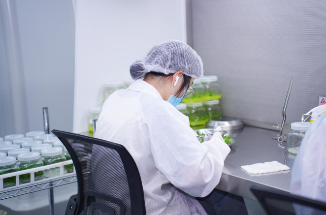 建设长三角休闲养生后花园，打造高质量绿色发展新旌德_新华网安徽频道{bbname}bbs.ahv.cc ...