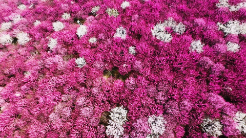 太和：医药高地 诗画太和{bbname}bbs.ahv.cc
