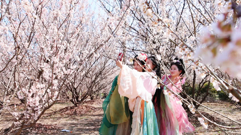 太和：医药高地 诗画太和{bbname}bbs.ahv.cc