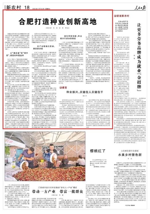 合肥打造种业创新高地{bbname}bbs.ahv.cc