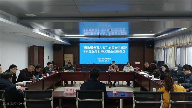 六安文旅发布安全服务规范化“十大案例”并启动“十五五”安全服务体系化推进工程{bbname}bbs.ahv.cc ...